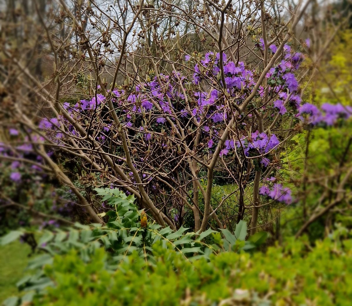 Gardening in April